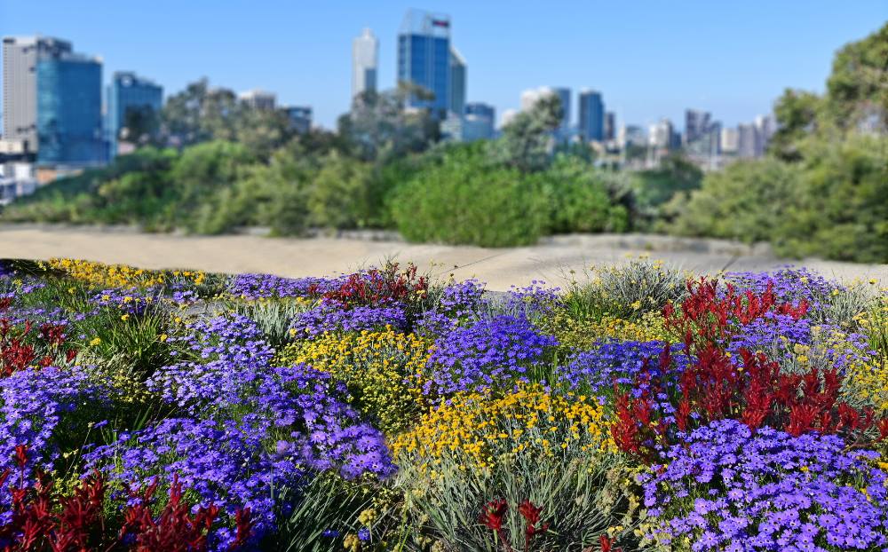 PAKEJ PRIVATE PERTH, AUSTRALIA 5H4M (4)