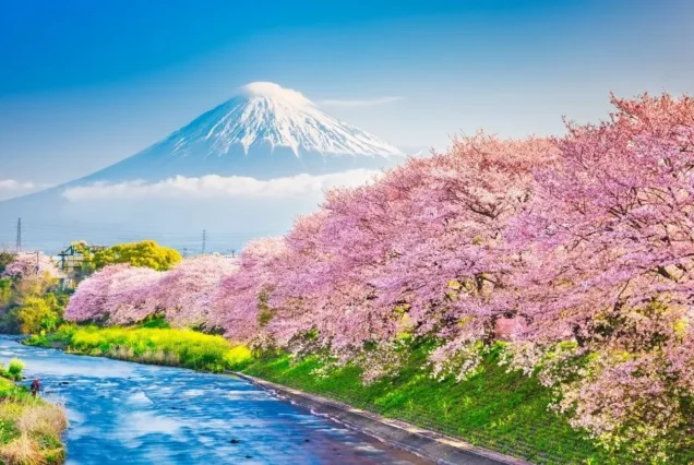 Pakej Tokyo + Mt Fuji, Jepun 5H4M