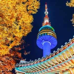 Pakej Korea + Everland Theme Park 6H4M