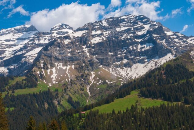 Snow-capped Swiss Alps mountain peaks above green forest, Switzerland